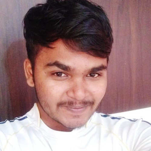 Harshil P. profile photo