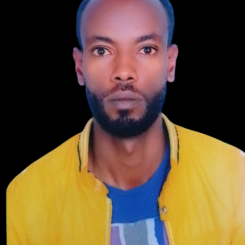 Obsi N.