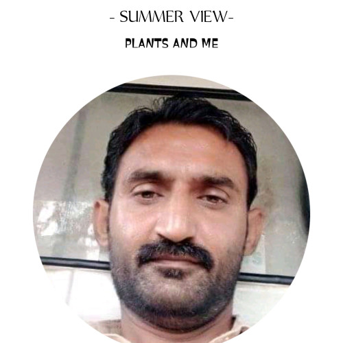 Muhammad  M. profile photo