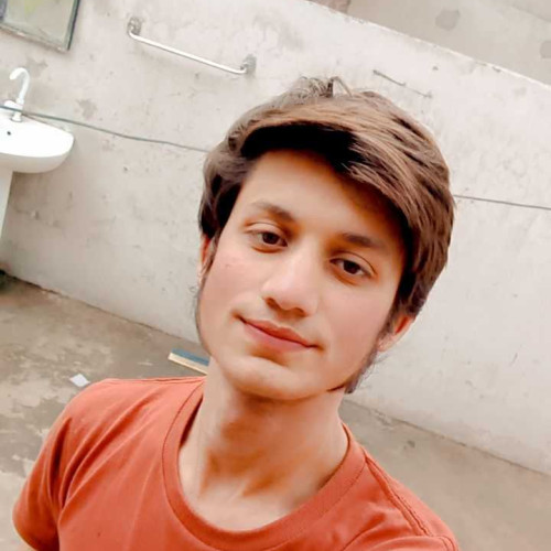 Hamza R. profile photo