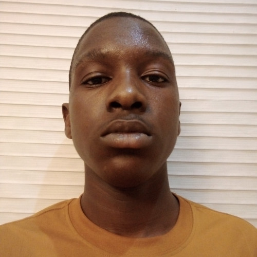 Collins  T. profile photo