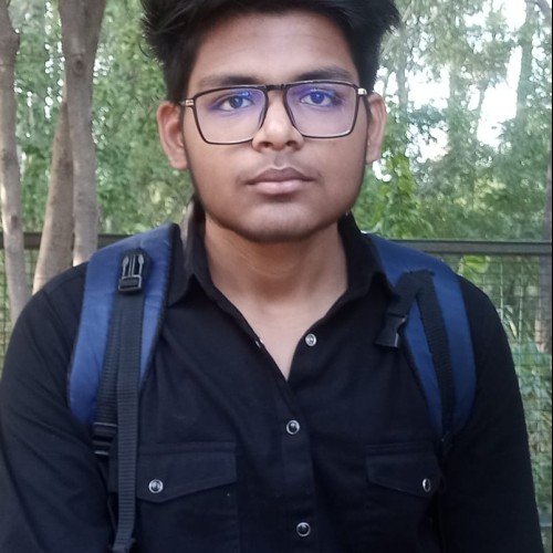Ayush K.