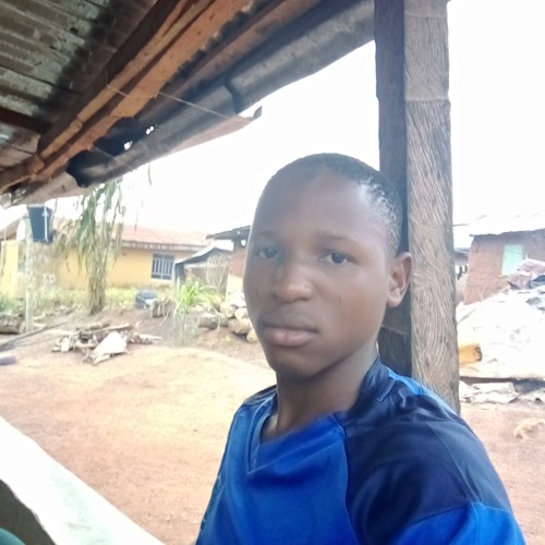 Olanrewaju A.