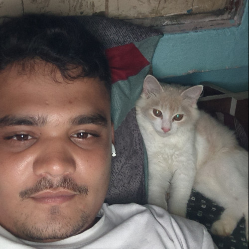 uzzu H. profile photo