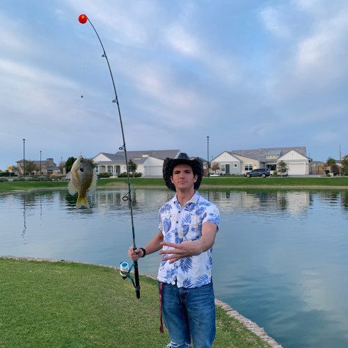 Alex R. profile photo