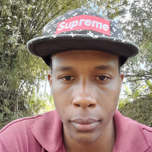 Shawn D. profile photo