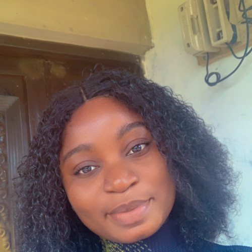 Olusegun O. profile photo