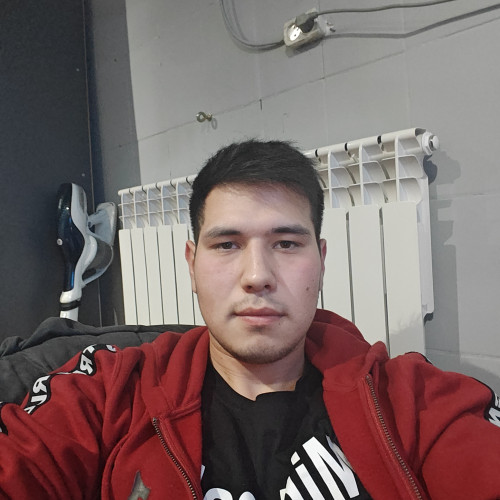 Daulet M. profile photo