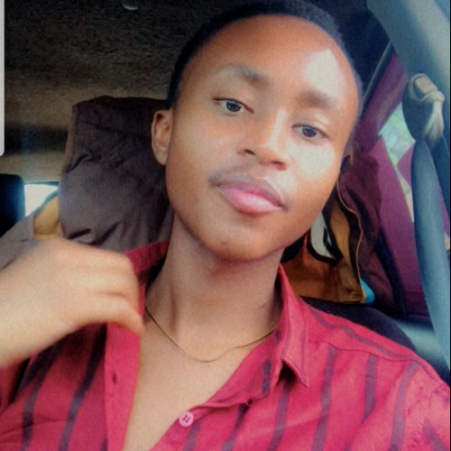 Kim S. profile photo