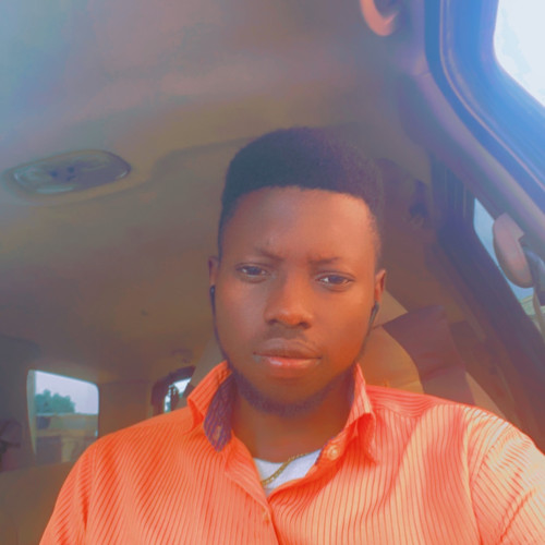 Segun A. profile photo