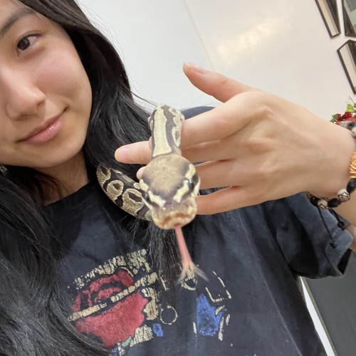 Jessica C. profile photo