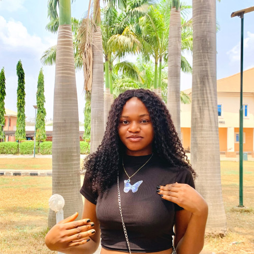Chukwu  F. profile photo
