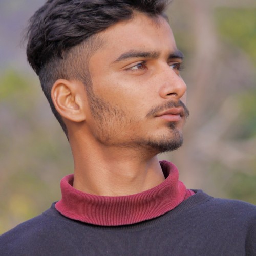 ABHINAV T.