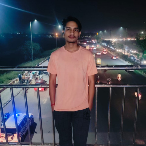Ankit S.