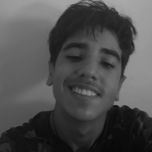 Walid Z. profile photo