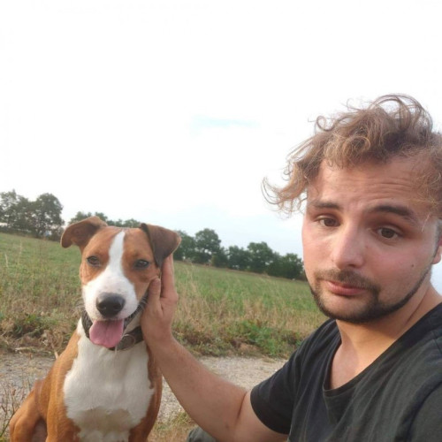Dorian D. profile photo
