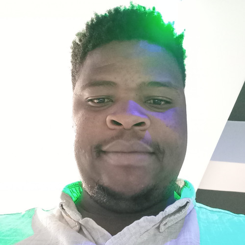 Tawanda N. profile photo