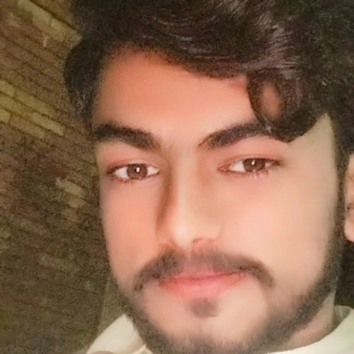 Muhammad  B. profile photo
