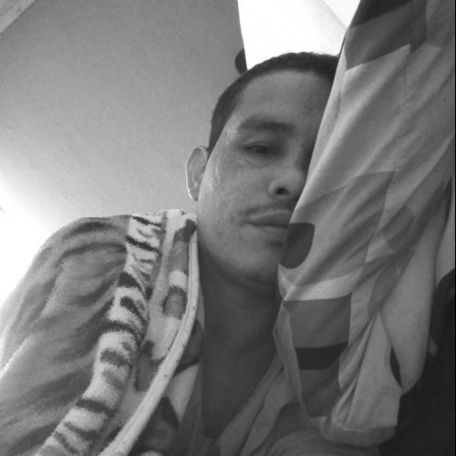 luis z. profile photo