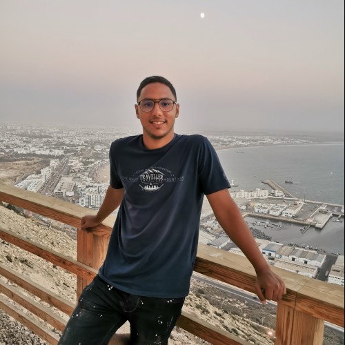 Hicham C.