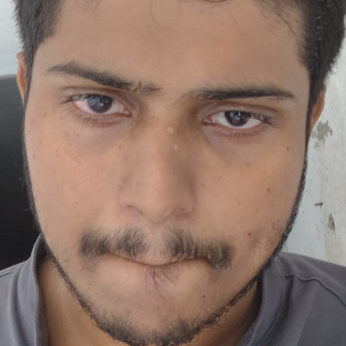 Jack N. profile photo