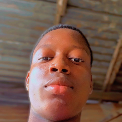 olamilekan g.