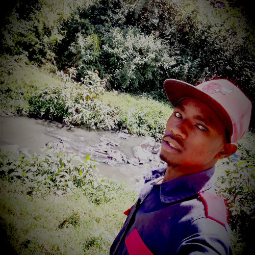 Kelvin N. profile photo