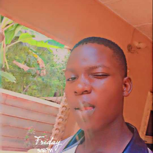 eze T. profile photo