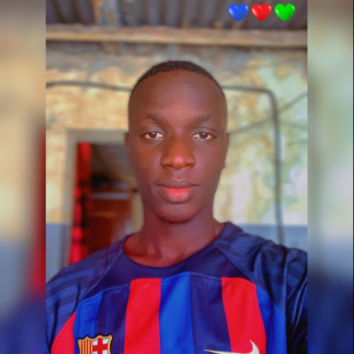 Mamadou N. profile photo