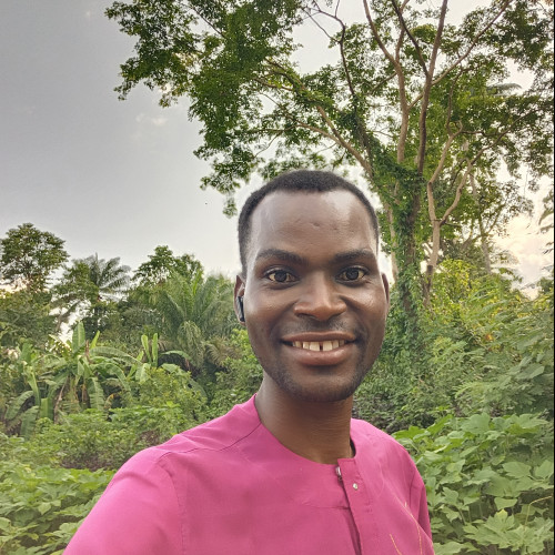 Ayodele  O. profile photo