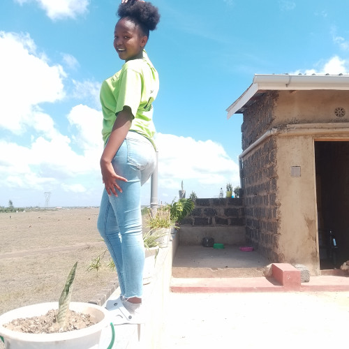 veralynn n. profile photo