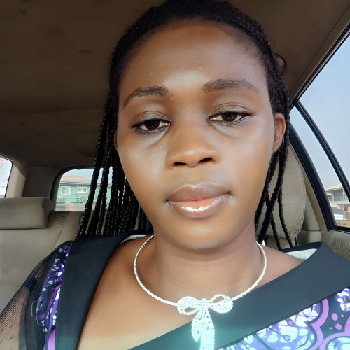 Damilola  S. profile photo