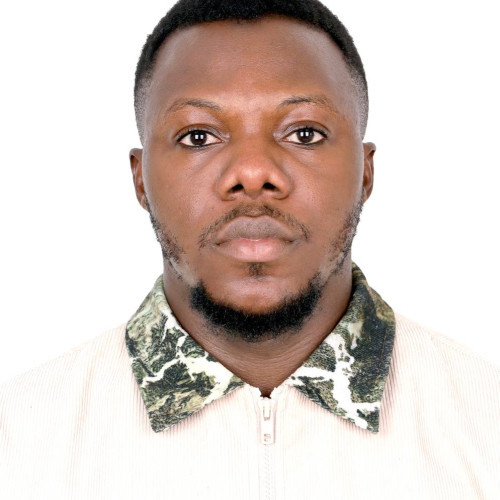 Opeyemi A. profile photo