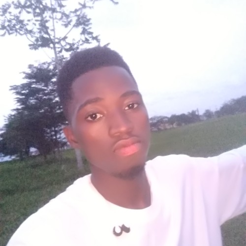 Godswill O.