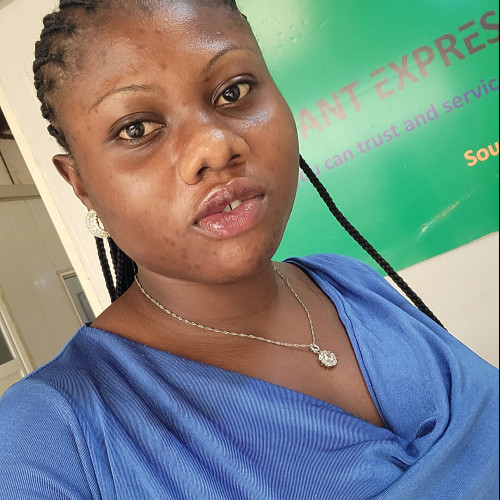 Oluwadamilola  O. profile photo