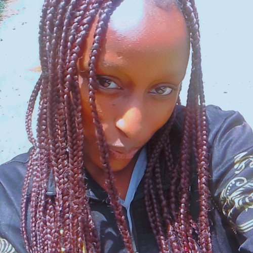 Ari K. profile photo