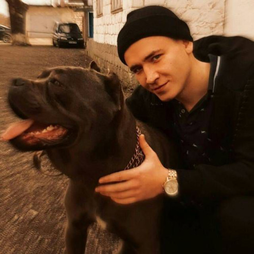 Mihail V. profile photo
