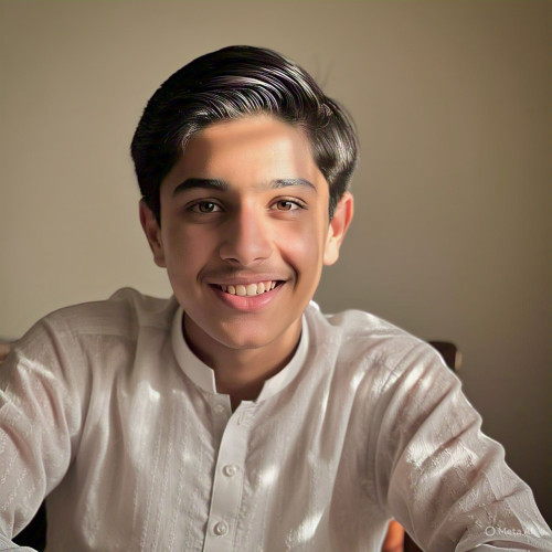 Raza H. profile photo