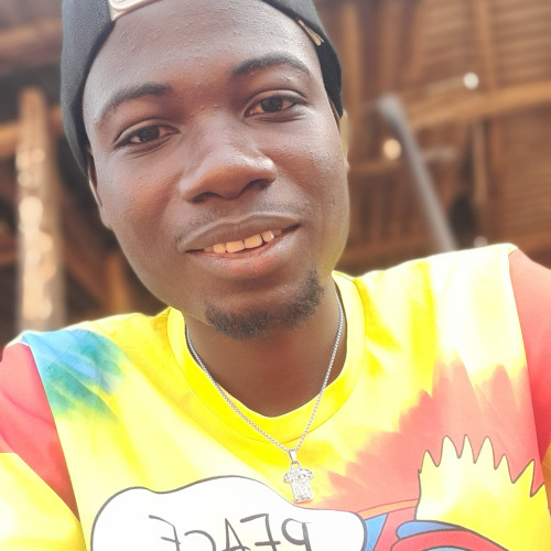Ayodele A. profile photo