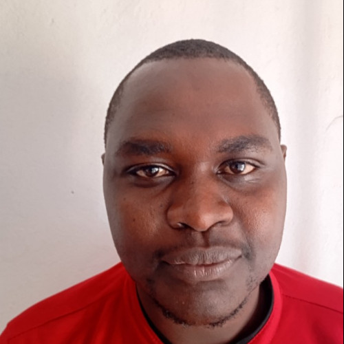 ken k. profile photo