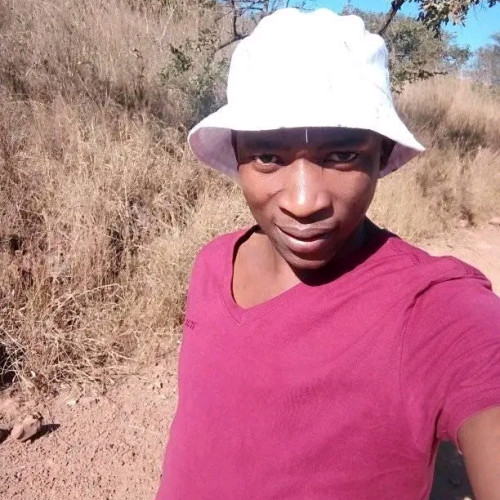 MPHO T. profile photo