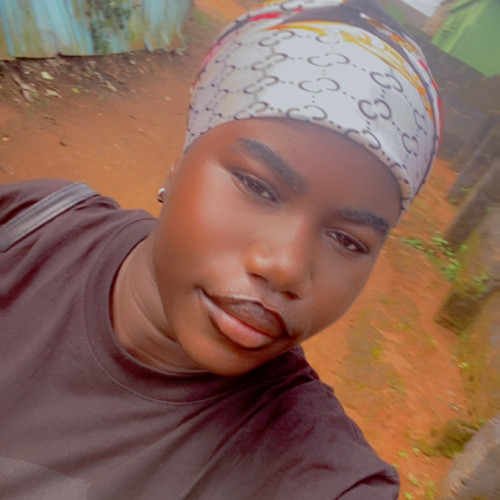 Oluwapelumi A. profile photo