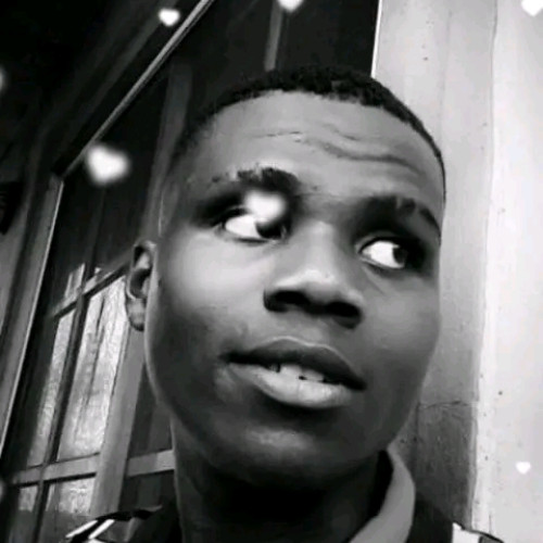 Seyi A. profile photo