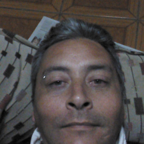 Dario  N. profile photo