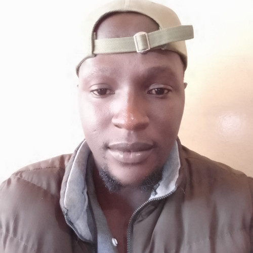 Ronny M. profile photo