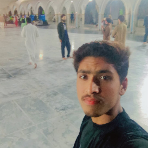 Hasan M. profile photo