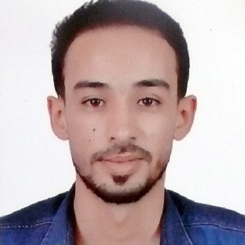 salim t.