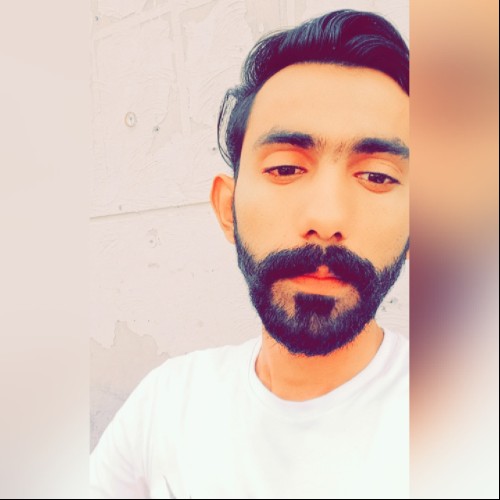 Ali Z.