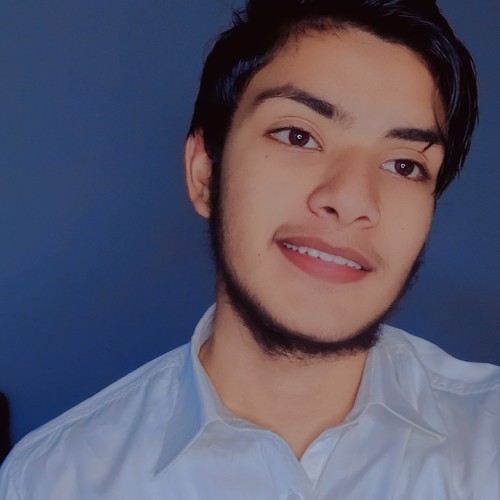 Muzammil  H.