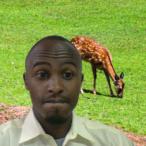 GAYLORD A. profile photo